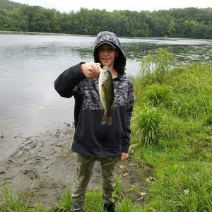 Meet your Posher, Hunter